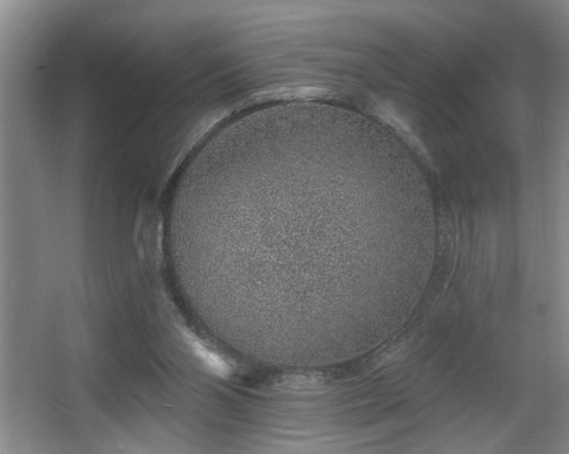 X0000067900110200604131405