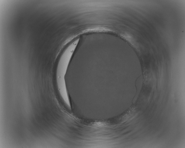 X0000067900111200604131405