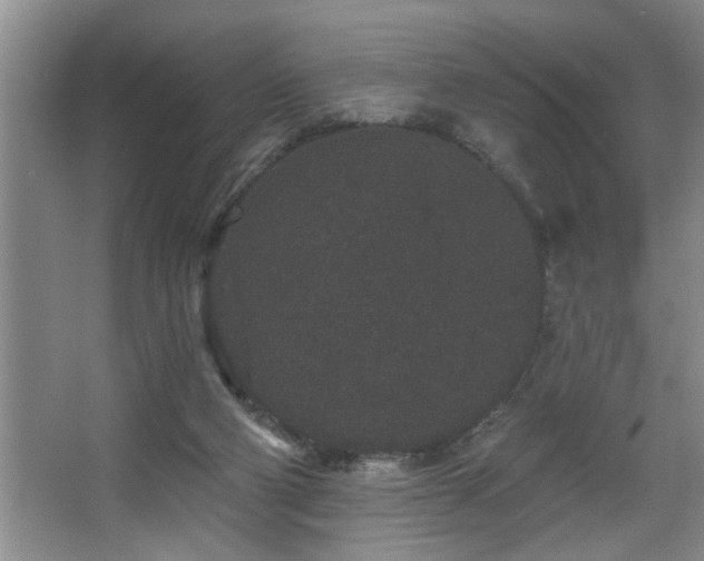 X0000067900114200604131405