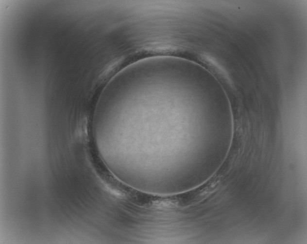 X0000067900115200604131405