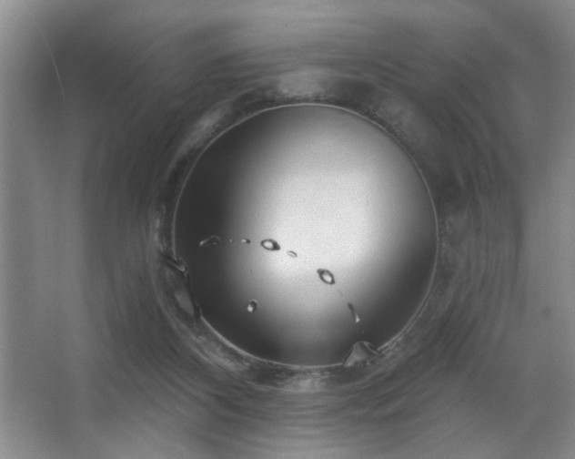 X0000067900116200604131404