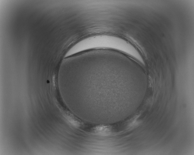 X0000067900117200604131404