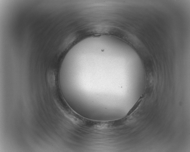 X0000067900120200604131404