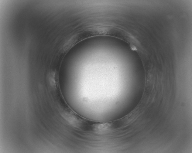 X0000067900122200604131404