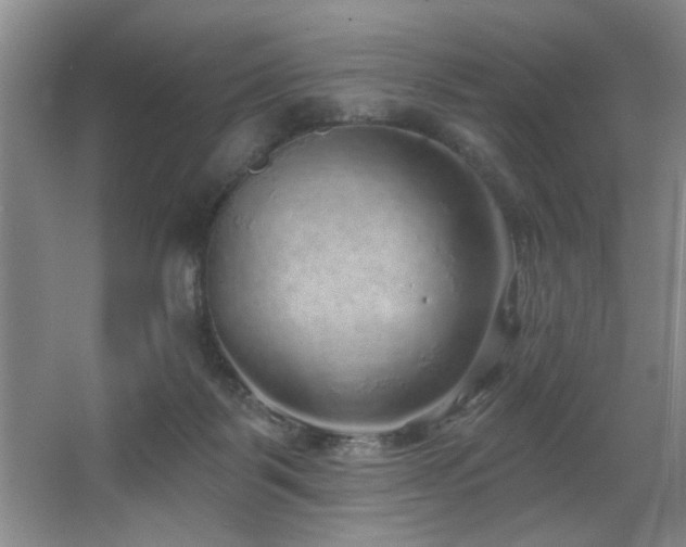 X0000067900123200604131404