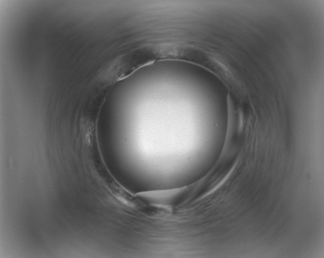 X0000067900125200604131404