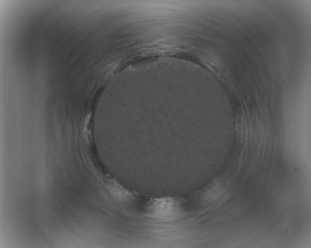 X0000067900127200604131404