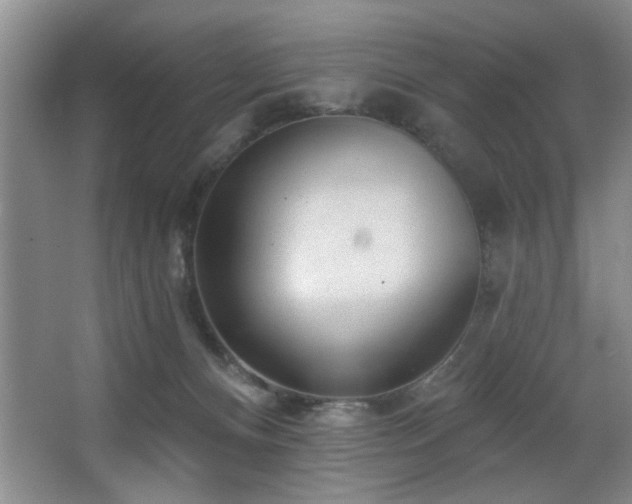 X0000067900128200604131404