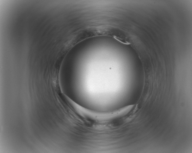 X0000067900129200604131404