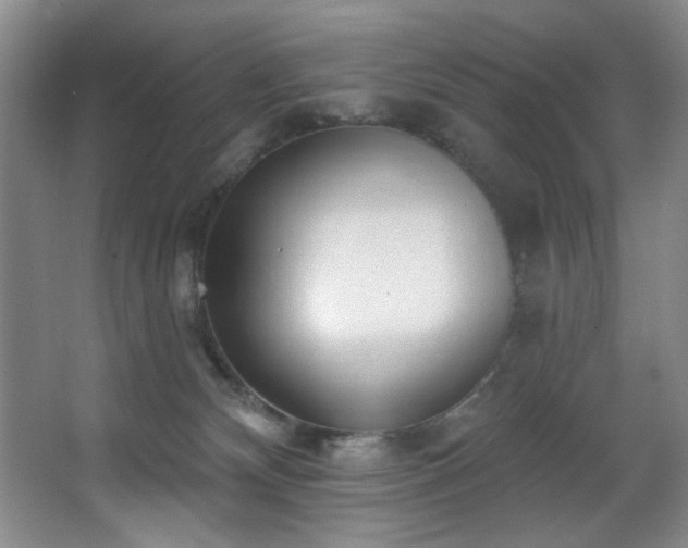 X0000067900132200604131404