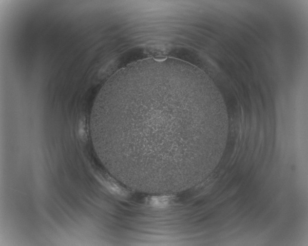 X0000067900134200604131404