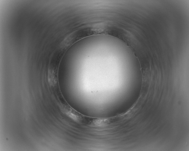 X0000067900136200604131404