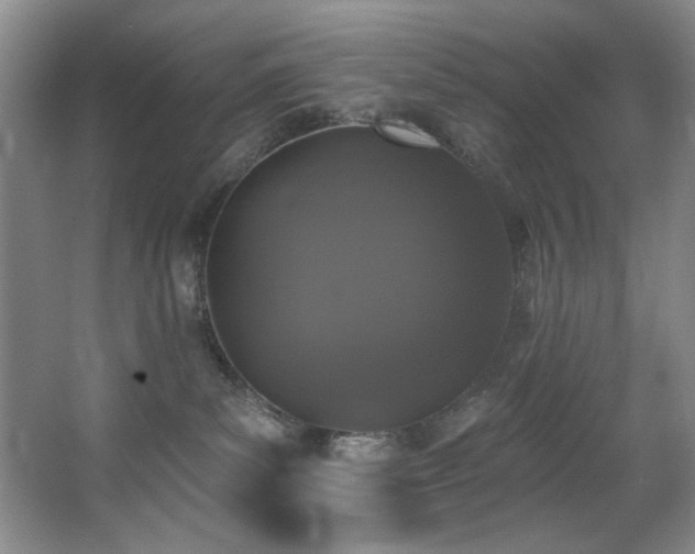 X0000067900139200604131404