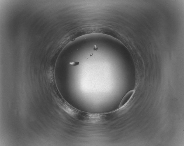 X0000067900144200604131404