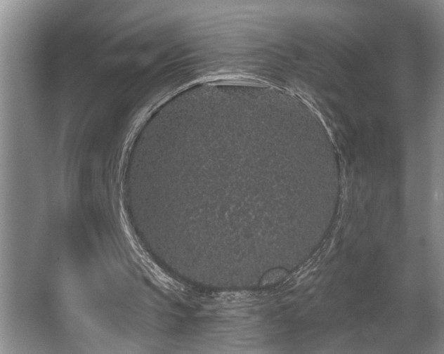 X0000067900145200604131403