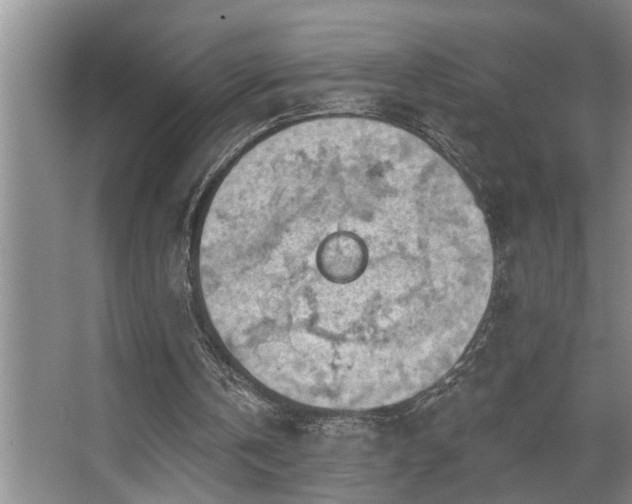 X0000067900146200604131403