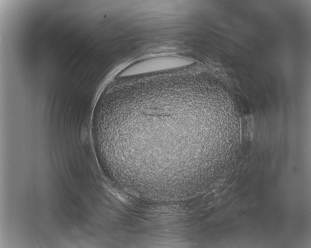 X0000067900147200604131403