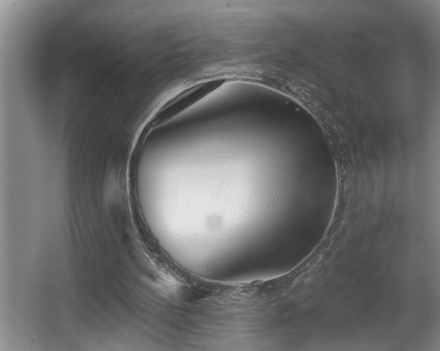 X0000067900148200604131403