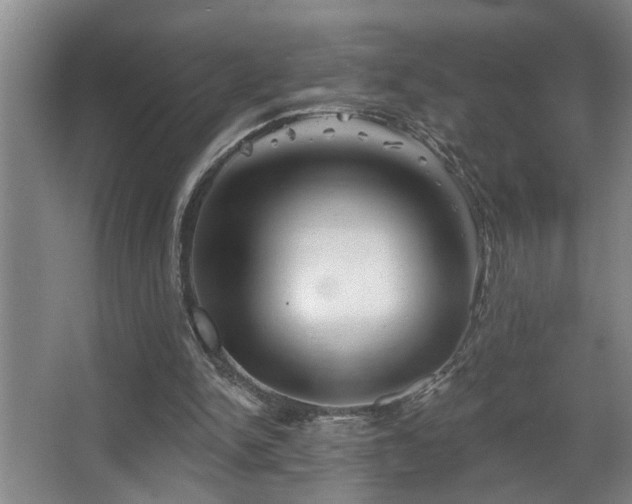 X0000067900150200604131403