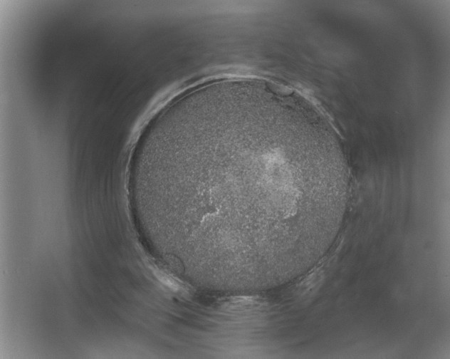 X0000067900151200604131403