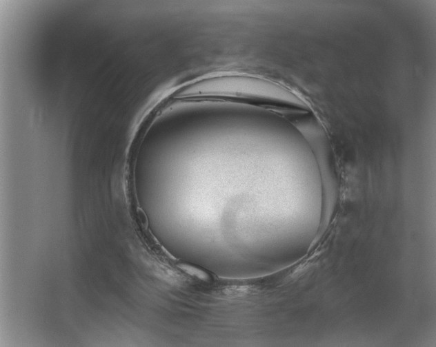 X0000067900152200604131403