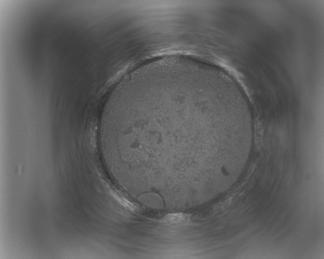 X0000067900153200604131403