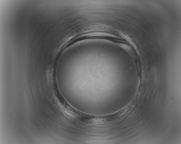 X0000067900154200604131403