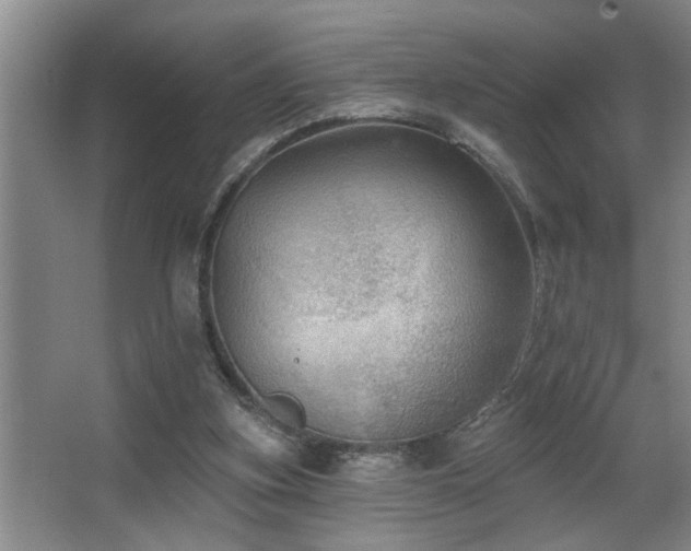 X0000067900155200604131403