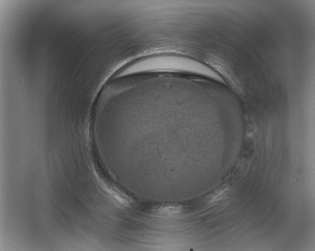 X0000067900156200604131403