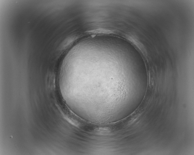 X0000067900157200604131403