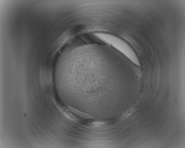 X0000067900158200604131403