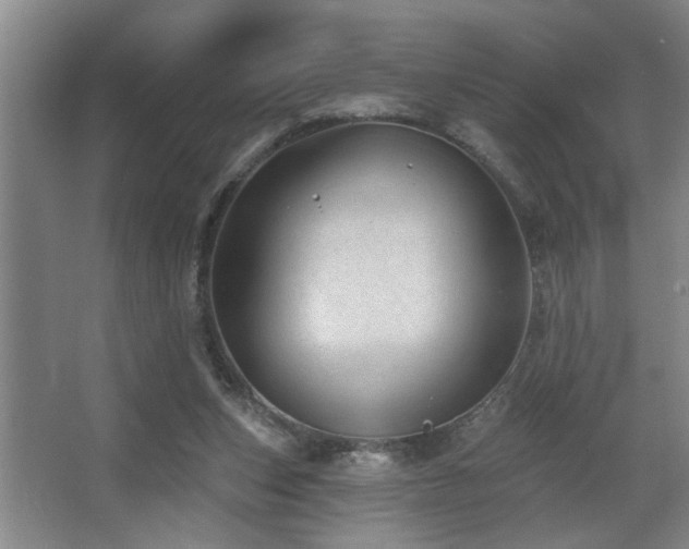 X0000067900159200604131403