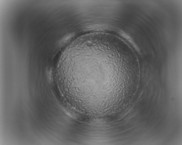 X0000067900161200604131403