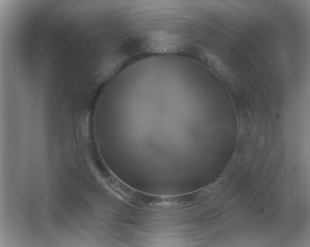 X0000067900163200604131403