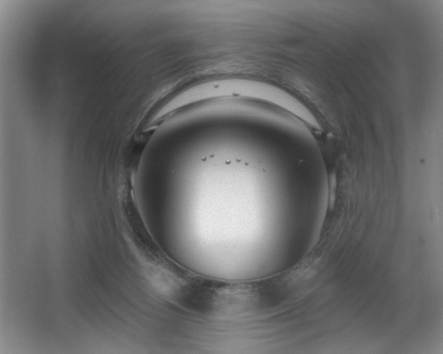 X0000067900164200604131404