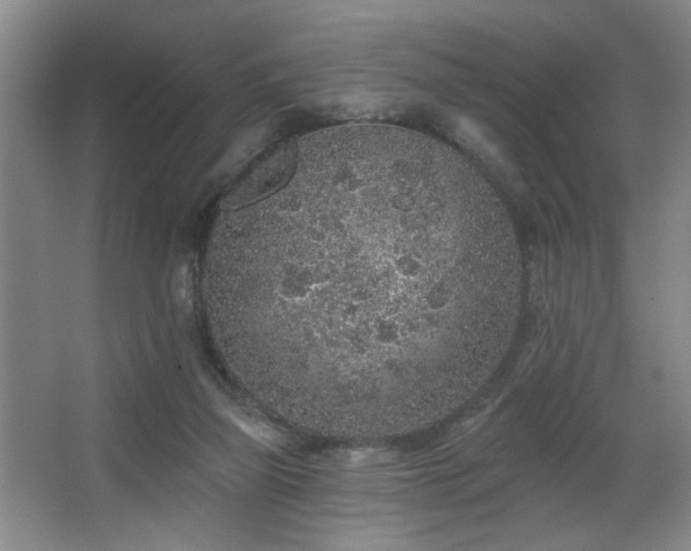 X0000067900165200604131404