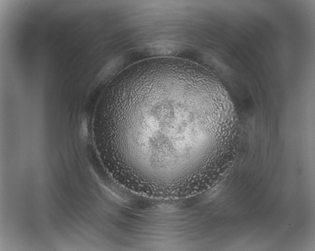 X0000067900166200604131404