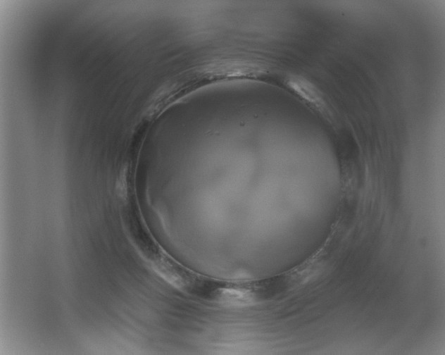 X0000067900167200604131404