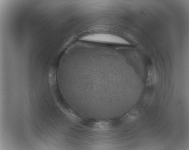 X0000067900168200604131404