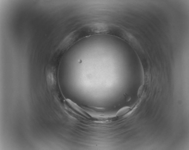 X0000067900170200604131404