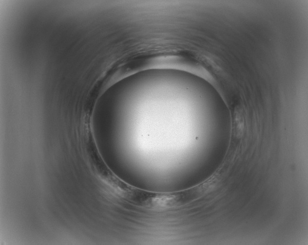 X0000067900172200604131404