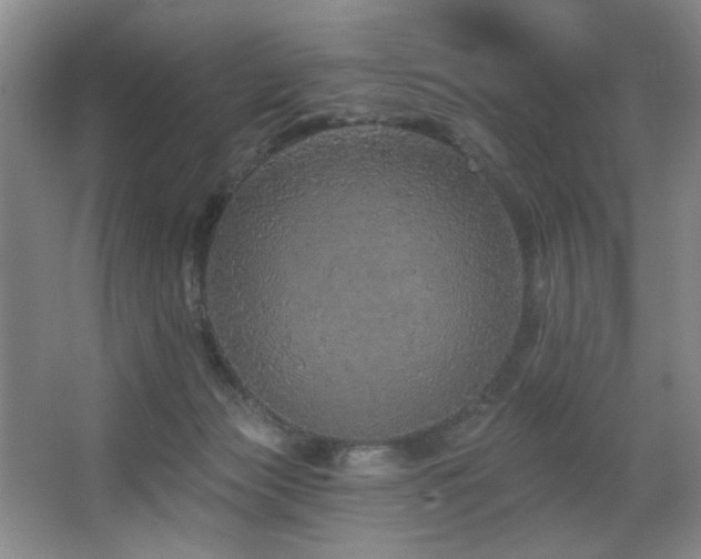 X0000067900173200604131404