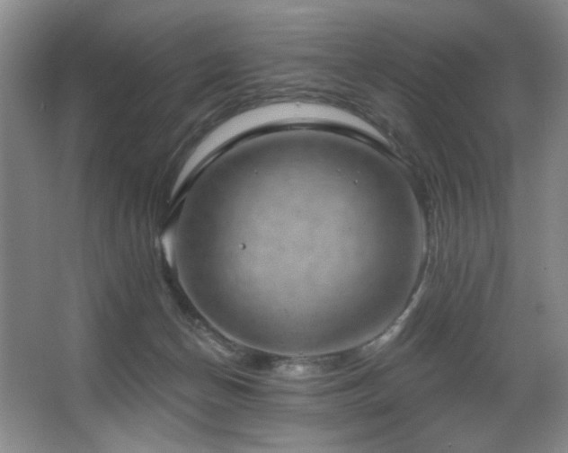 X0000067900174200604131404