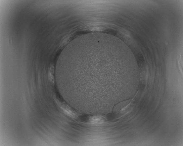 X0000067900175200604131404