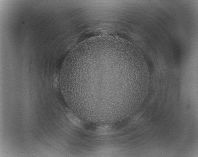 X0000067900177200604131404