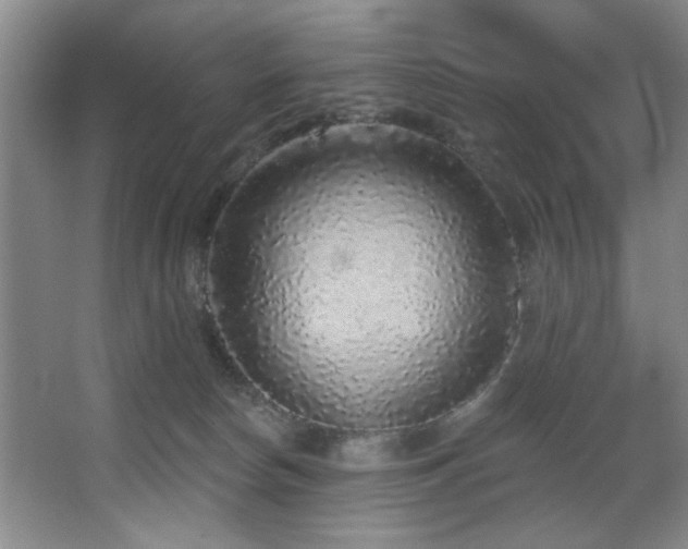 X0000067900178200604131404