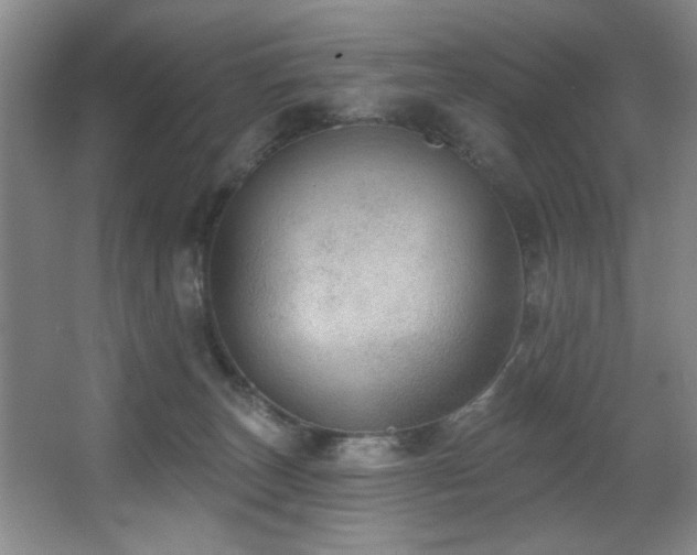 X0000067900179200604131404