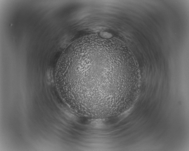 X0000067900182200604131404