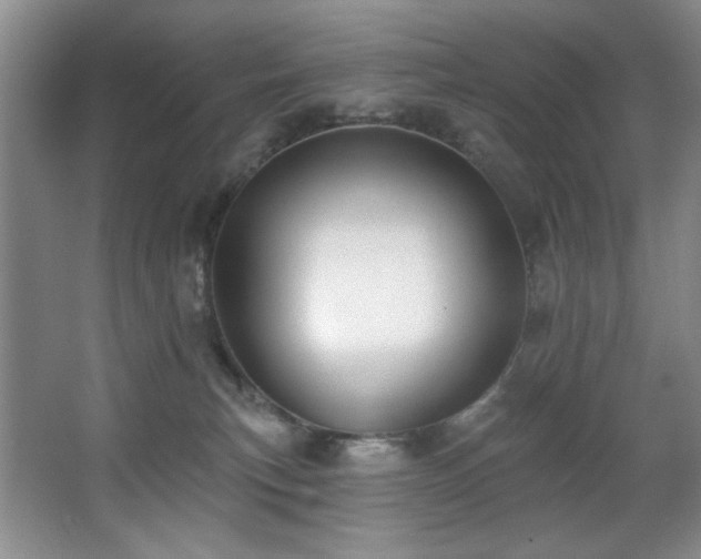 X0000067900183200604131404