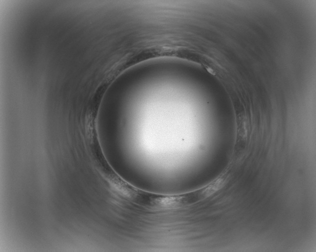 X0000067900184200604131404